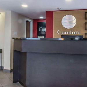 Comfort Inn Θάντερ Μπέι Exterior photo