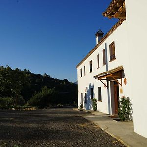 Hacienda Molino Nuevo Βίλα Algodonales Exterior photo
