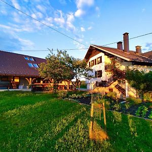 Tourist Farm Strle With Great Local Food Βίλα Cerknica Exterior photo