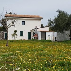 Casa Matilda - Abbasanta - Sardegna - Iun R4877 Διαμέρισμα Exterior photo