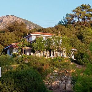 The Lazy Olive Private Villa And Natural Pool Near Antique Olympos Kumluca Exterior photo