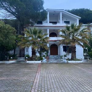 Vila “Beheluli” Golem Ξενοδοχείο Golem  Exterior photo