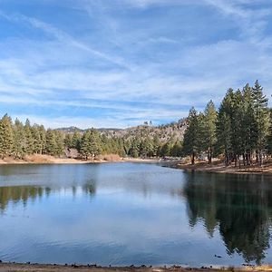 Hidden Jewel Of San Bernardino Mountains Βίλα Green Valley Lake Exterior photo