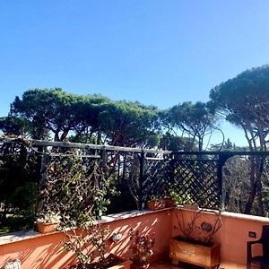 Attico “La Grande Bellezza” Διαμέρισμα Ρώμη Exterior photo