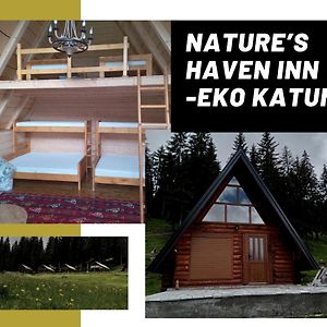 Nature'S Haven Inn - Eko Katun Πλαβ Exterior photo