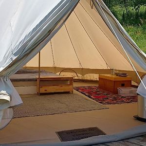 Glamping In The Apuseni Mountains Βίλα Grohotele Exterior photo