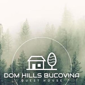 Dom Hills Bucovina Ξενοδοχείο Gura Humorului Exterior photo