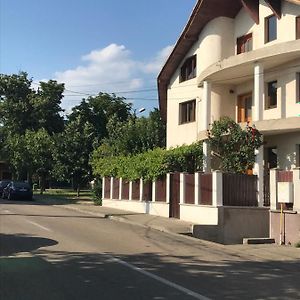 Casa Stefan Διαμέρισμα Ντρομπέτα-Τούρνου Σεβερίν Exterior photo
