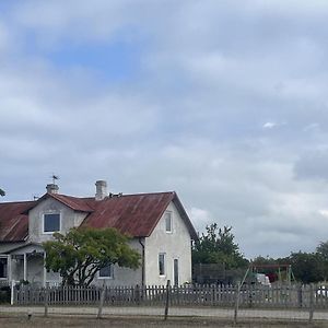 12Bed House With Poolarea Hablingbo South Gotland Βίλα Havdhem Exterior photo