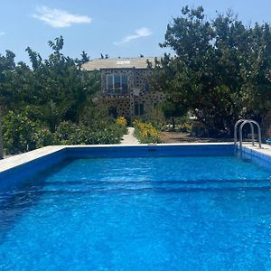 Garden View Seaside Guesthouse With Airport Transfer Μπακού Exterior photo