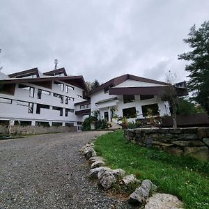 Randunica Ξενοδοχείο Văliug Exterior photo