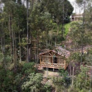 The Hideout- A Cabin In Nature; 25 Min From Κουένκα Exterior photo