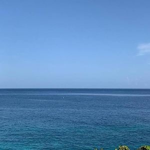 Irie Vibes Ocean View Βίλα Νεγκρίλ Exterior photo