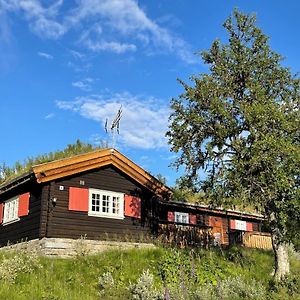 Elveseter - Log Cabin With An Amazing View Βίλα Lunde  Exterior photo