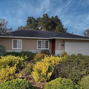 Cozy House In Silicon Valley Σαν Χοσέ Exterior photo