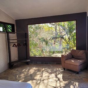 Quiet And Comfy Studio With Jungle Views Διαμέρισμα El Plantel Exterior photo