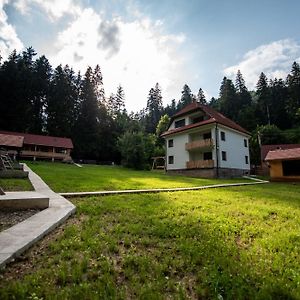 Forest Resort Băile Tusnad Exterior photo