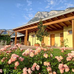 Agriturismo L' Isola Di Arturo Βίλα Τρέντο Exterior photo