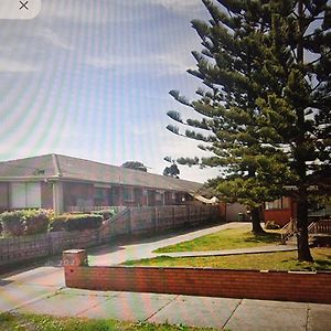 Two Pines, Whole Home In Tullamarine Near Airport! Μελβούρνη Exterior photo