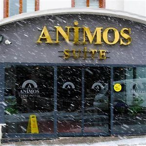 Animos Butik Otel Άγκυρα Exterior photo