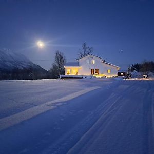 Mountainside Lodge - Breivikeidet Τρόμσο Exterior photo