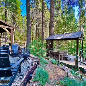 Cabin In The Trees - Hot Tub Βίλα Pollock Pines Exterior photo