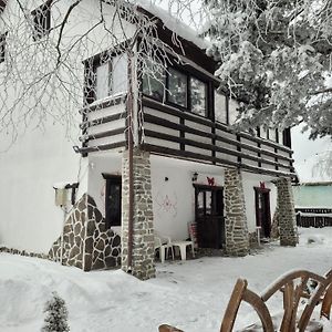Vila Eden Βίλα Comandău Exterior photo