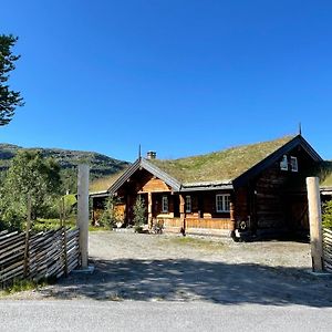 Solsetra - Mountain Majesty Family Log Cabin Βίλα Hovden  Exterior photo