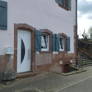 Le Studio Διαμέρισμα Lembach Exterior photo