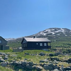 Bjorgo Gard - Stegastein Διαμέρισμα Aurland Exterior photo