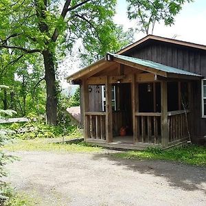 Maxwell'S Mountain View Cabin, Hot Tub, Wood Stove, Amazing Views Βίλα Naples Exterior photo