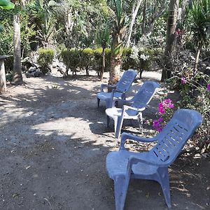 Playa Casa Nohelia Διαμέρισμα Santo Domingo Exterior photo