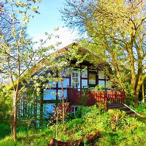 Natururlaub Frankenau Exterior photo