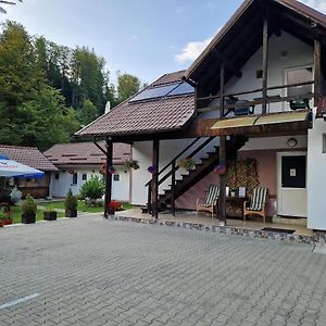 Casa Popa'S Ξενοδοχείο Cîrţişoara Exterior photo