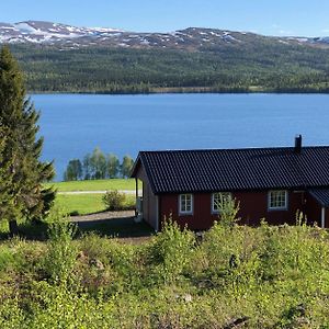 Nyrestaurert Og Koselig Hytte Ved Skjelbredvatnet. Βίλα Sandvika  Exterior photo