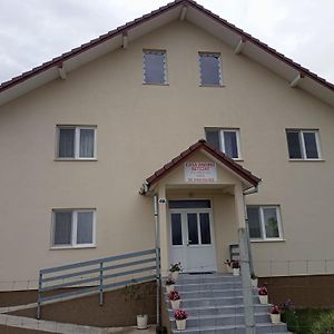Casa Andrei Retezat Ξενοδοχείο Haţeg Exterior photo