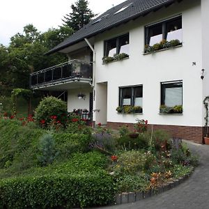 Auf Dem Kleeberg Διαμέρισμα Niederzissen Exterior photo