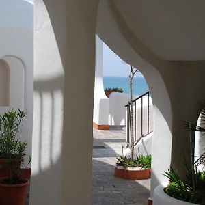 Casa Vacanze Elianto Άντζιο Exterior photo