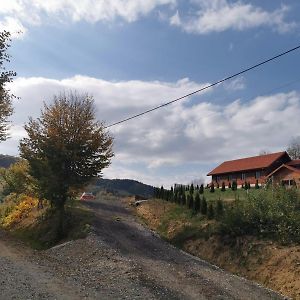 Cabana Valea Popii Ξενοδοχείο Sita Buzăului Exterior photo
