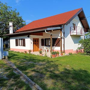Family Friendly House With A Swimming Pool Hrascina, Zagorje - 22223 Βίλα Exterior photo