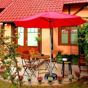Cozy Apartament "Apples" For Travellers, Bbq Garden At Private House Διαμέρισμα Sulechów Exterior photo