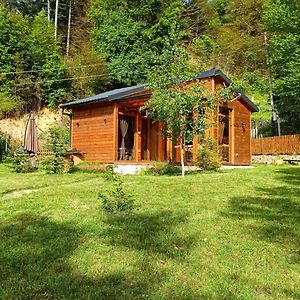 Wooden Mountain Villa Μπέροβο Exterior photo