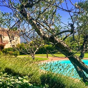 Pool Villa Yoga - Spoleto Tranquilla - A Sanctuary Of Dreams And Peace Morro Exterior photo