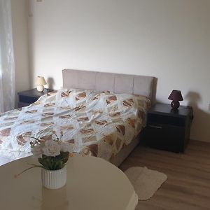 Apartments Kamenjar Νόβι Σαντ Room photo