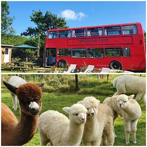 Double Decker Bus On An Alpaca Farm Sleeps 8, 5 Mins Drive To Dartmoor Βίλα Bovey Tracey Exterior photo