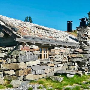 Rustic Mountain Cabin With Modern Interior Βίλα Flå Exterior photo