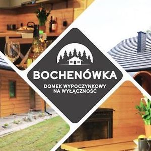 Bochenowka Βίλα Rogowo  Exterior photo