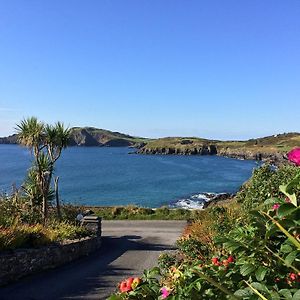 Sandycove House Bed & Breakfast Castlehaven Room photo