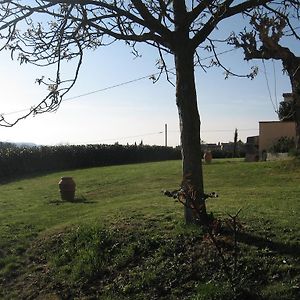 Agriturismo Le Caselle ξενώνας Cerbaia Room photo