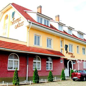Oazis Hotel Etterem Kiskunfélegyháza Exterior photo